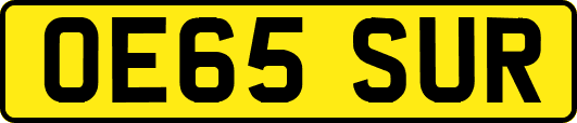 OE65SUR