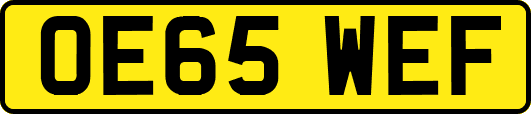 OE65WEF