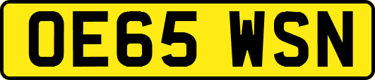 OE65WSN