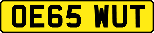OE65WUT
