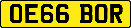 OE66BOR