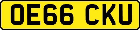 OE66CKU