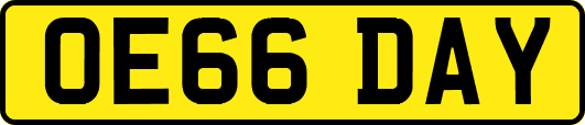 OE66DAY