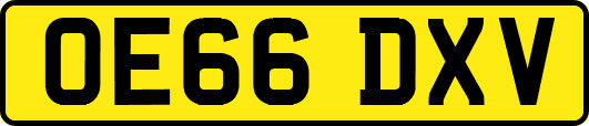 OE66DXV