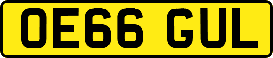 OE66GUL
