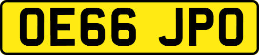 OE66JPO