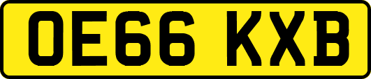 OE66KXB