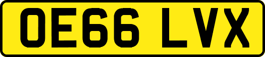 OE66LVX