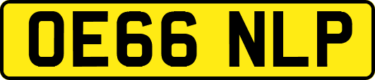 OE66NLP