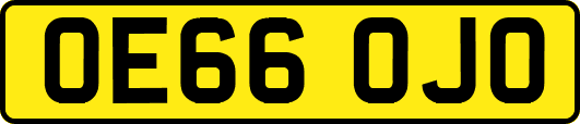 OE66OJO