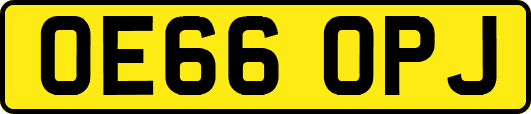 OE66OPJ