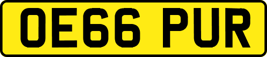 OE66PUR