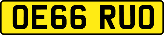OE66RUO