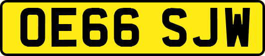 OE66SJW