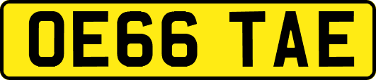 OE66TAE