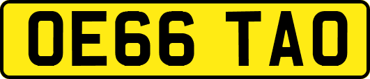 OE66TAO