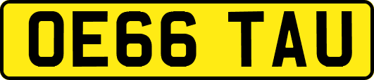 OE66TAU