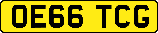 OE66TCG