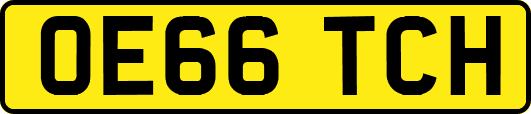 OE66TCH