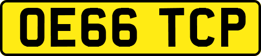 OE66TCP