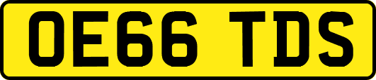OE66TDS