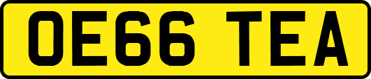 OE66TEA