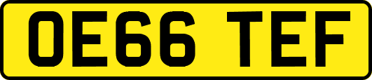 OE66TEF