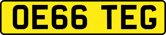 OE66TEG