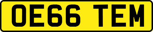 OE66TEM
