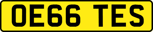 OE66TES