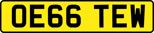 OE66TEW