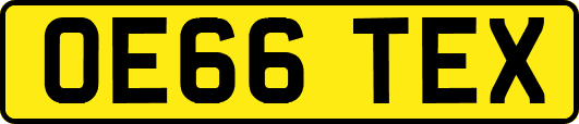OE66TEX