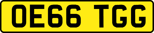 OE66TGG