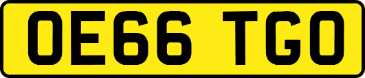 OE66TGO