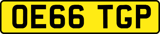 OE66TGP