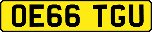 OE66TGU