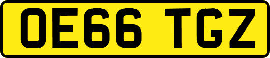 OE66TGZ