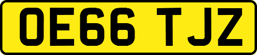 OE66TJZ