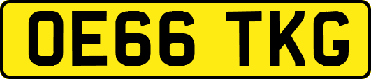 OE66TKG