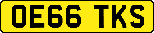 OE66TKS
