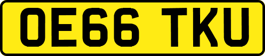 OE66TKU