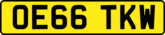 OE66TKW