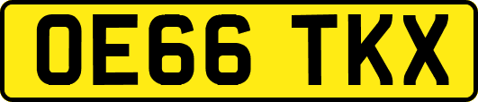 OE66TKX