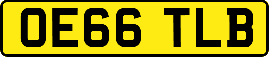 OE66TLB