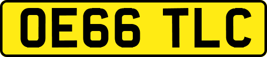 OE66TLC