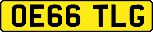 OE66TLG