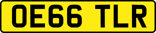 OE66TLR
