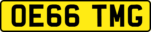 OE66TMG