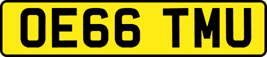 OE66TMU