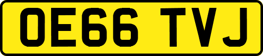 OE66TVJ